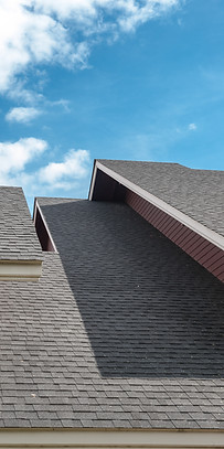 shingles-roof-contemporary-style.jpg